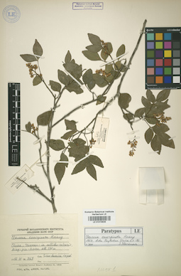 LE 01015638