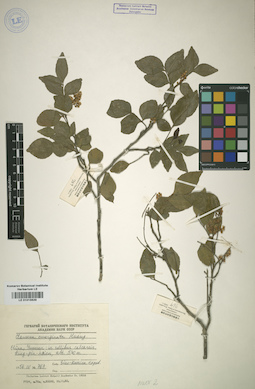 LE 01015639