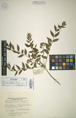 LE 01015640