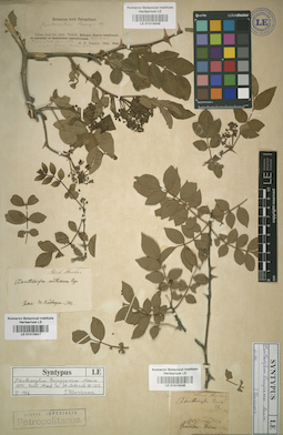 LE 01015648