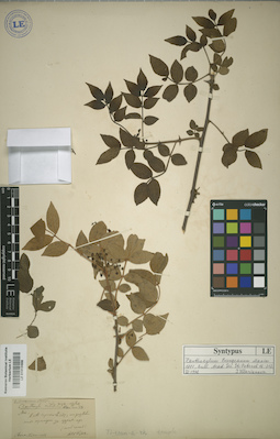 LE 01015658