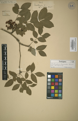 LE 01015660