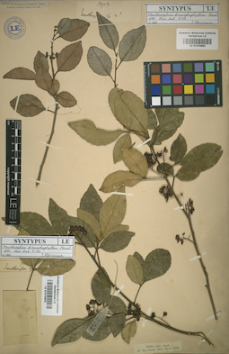 LE 01015664