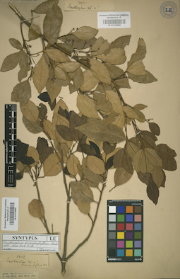 LE 01015666