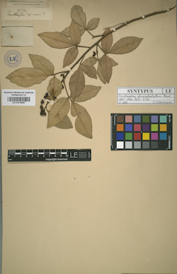 LE 01015667