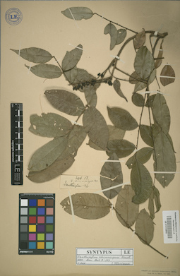 LE 01015668