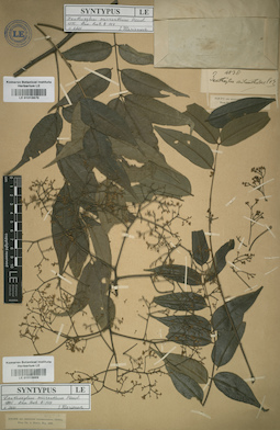 LE 01015669