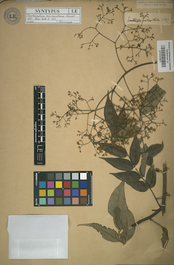LE 01015671
