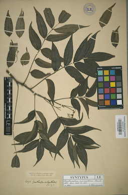 LE 01015672