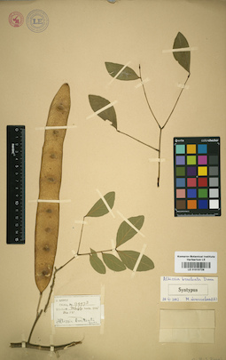 LE 01015728