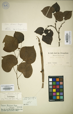 LE 01015732