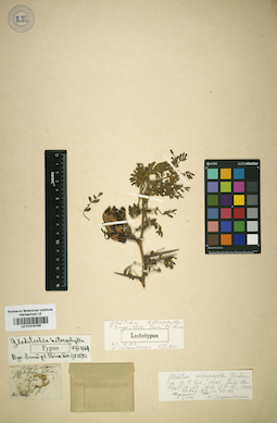 LE 01015740