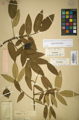 LE 01015741