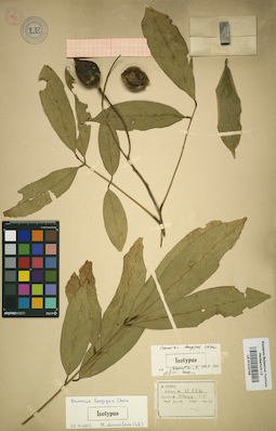 LE 01015743