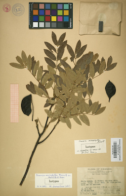 LE 01015744