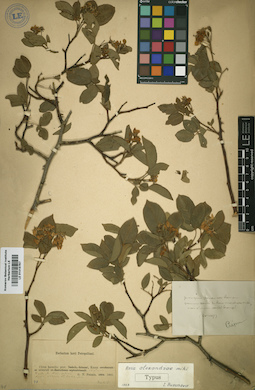 LE 01015767