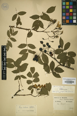 LE 01015769