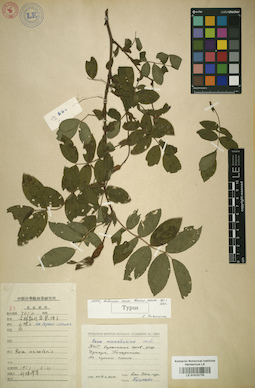 LE 01015778