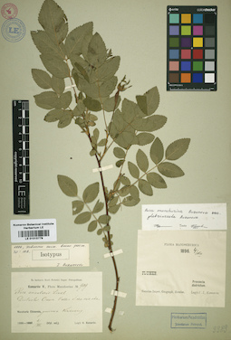 LE 01015779