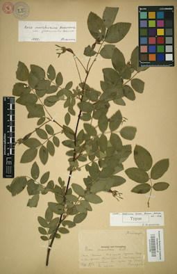 LE 01015780
