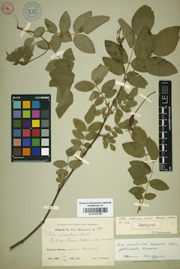LE 01015781