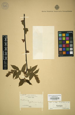 LE 01015784