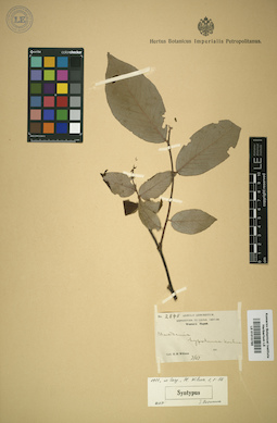 LE 01015785