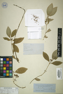 LE 01015867