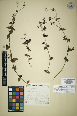 LE 01015868