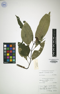 LE 01015869