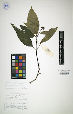 LE 01015870