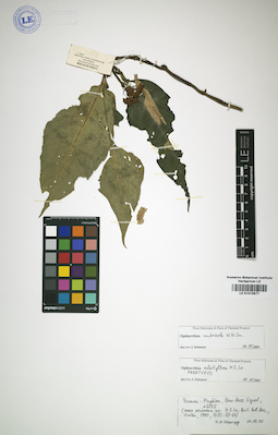 LE 01015871