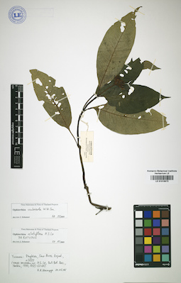 LE 01015872