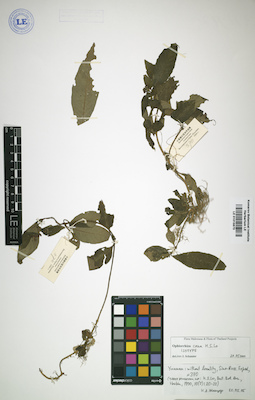 LE 01015873