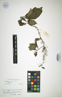 LE 01015874