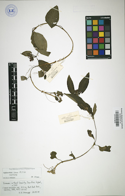 LE 01015876