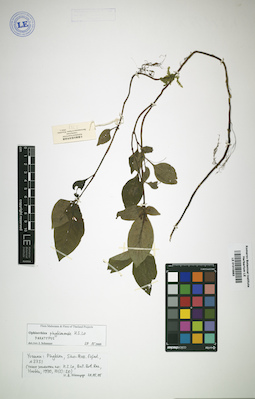 LE 01015883