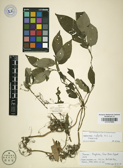 LE 01015884