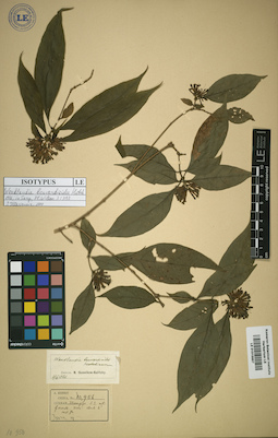 LE 01015887