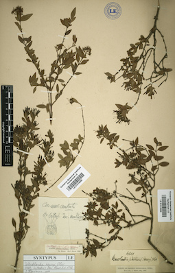 LE 01015889