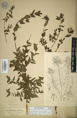 LE 01015891