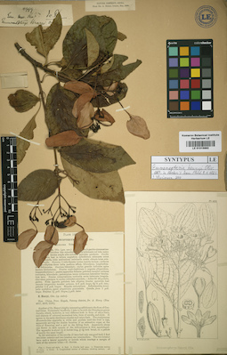 LE 01015892