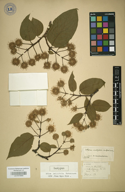 LE 01015893