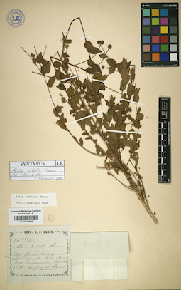 LE 01015894