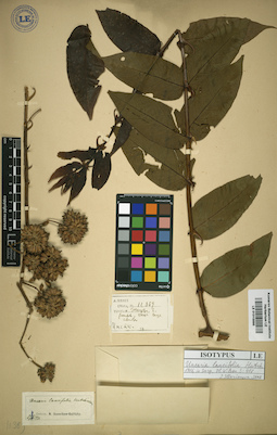 LE 01015895