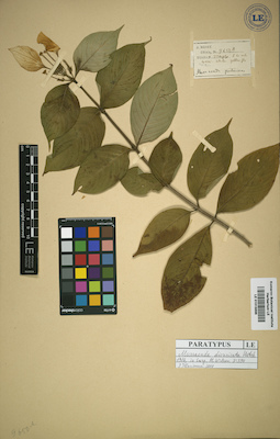 LE 01015896