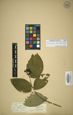LE 01015897