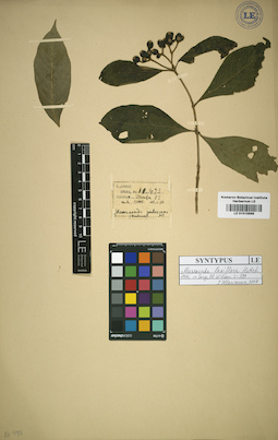 LE 01015898