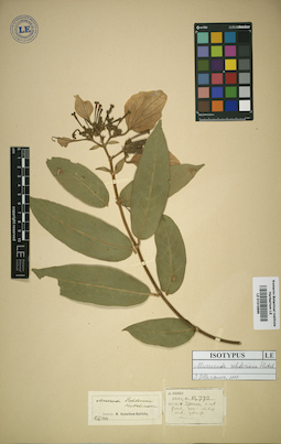 LE 01015899