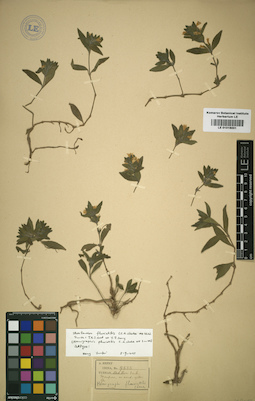 LE 01016001